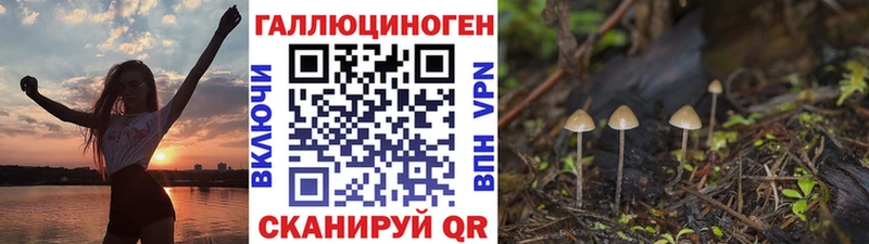 Галлюциногенные грибы прущие грибы  Чёрмоз 
